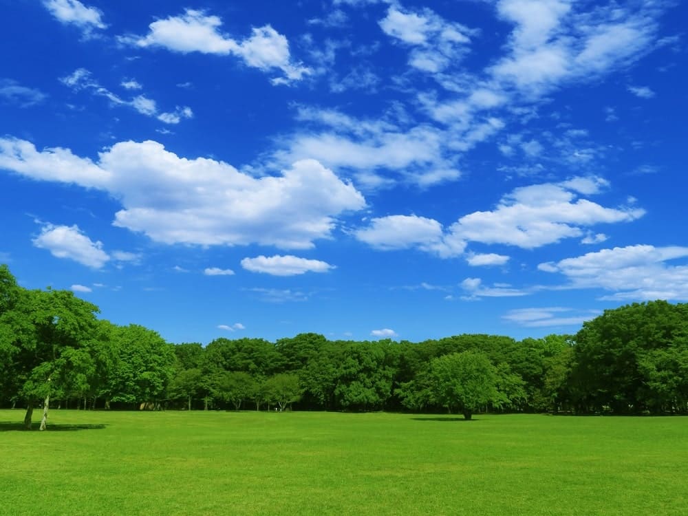 大阪府内にある入園料無料で遊べる面積の広い公園まとめ おまとめさん 大阪府内にある入園料無料で遊べる面積の広い公園まとめ おまとめさん